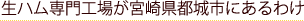 nHꂪ{茧ssɂ킯